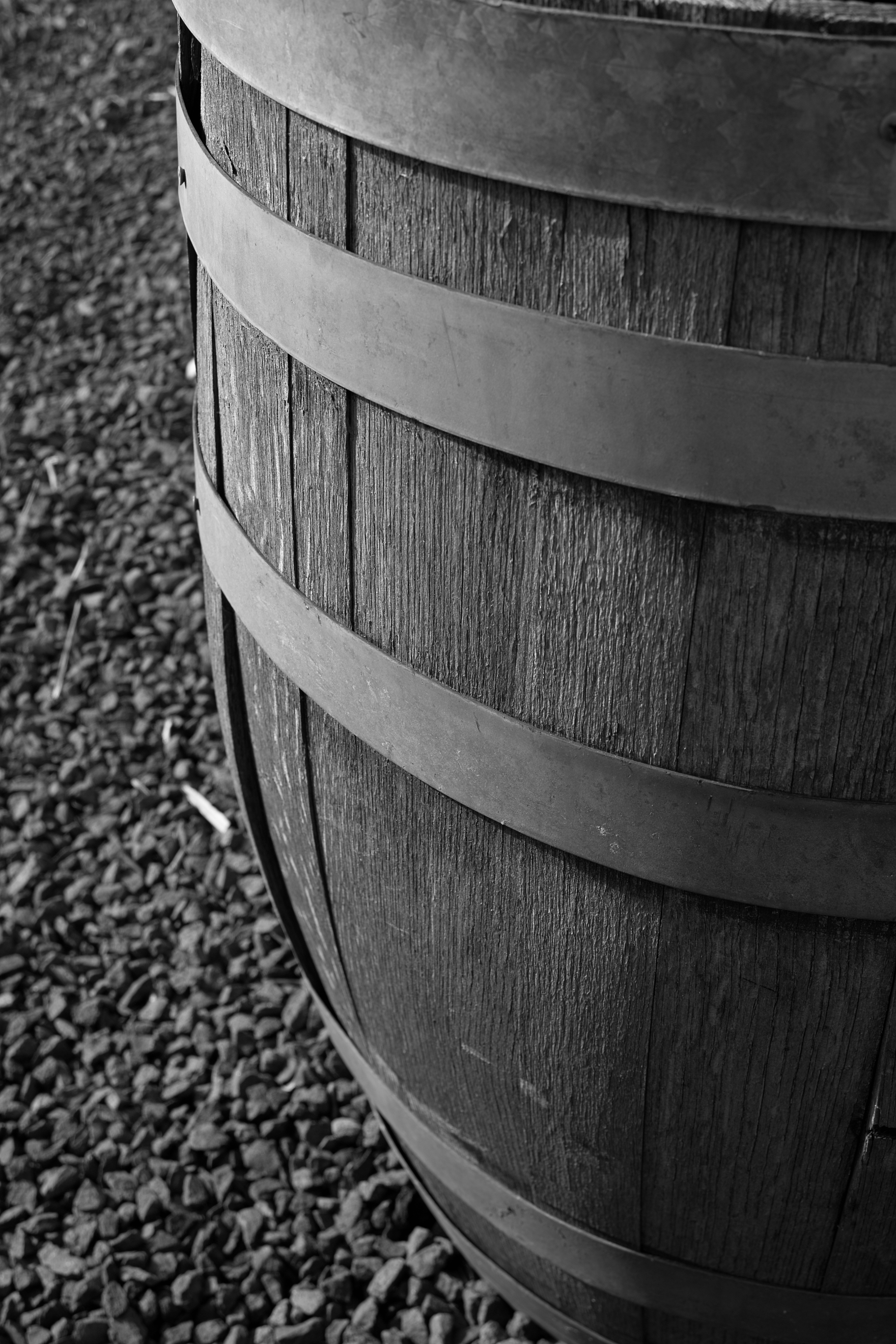 2013年　醸造体験